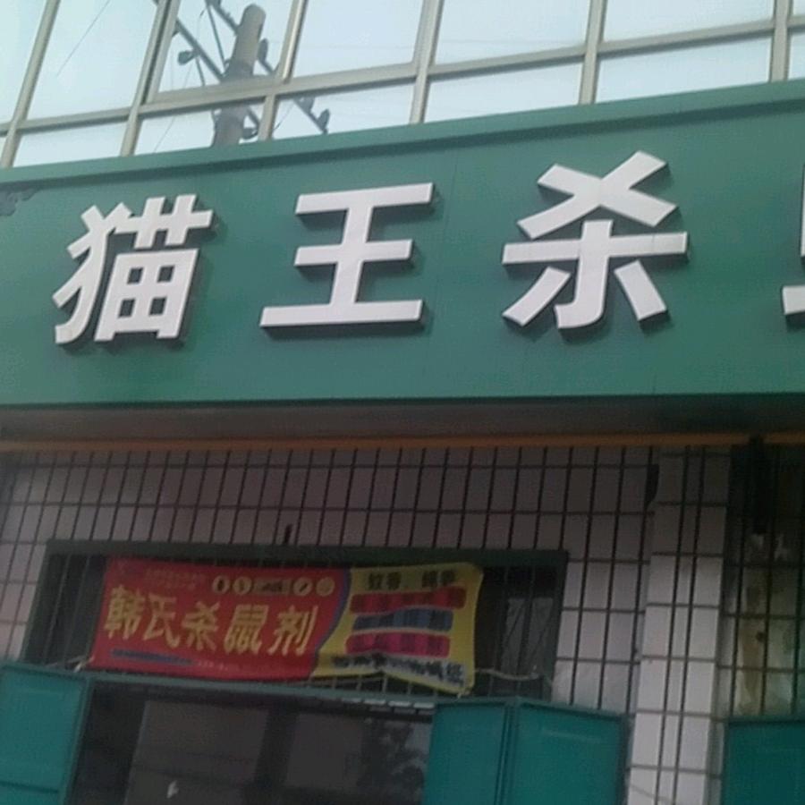 邢台任泽区猫王虫控