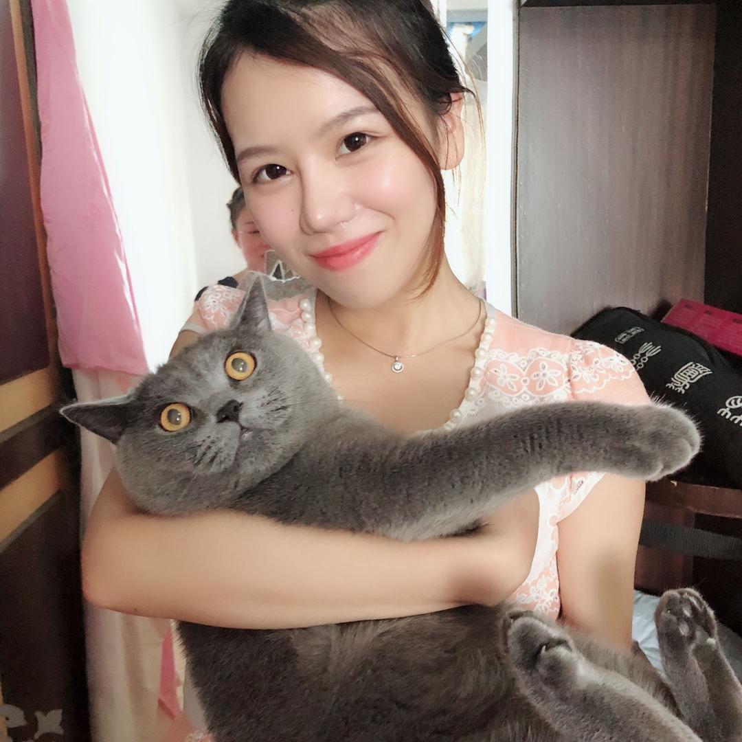 诚心婚礼日常