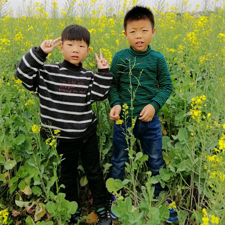 尊客修师兄（路路通sj）