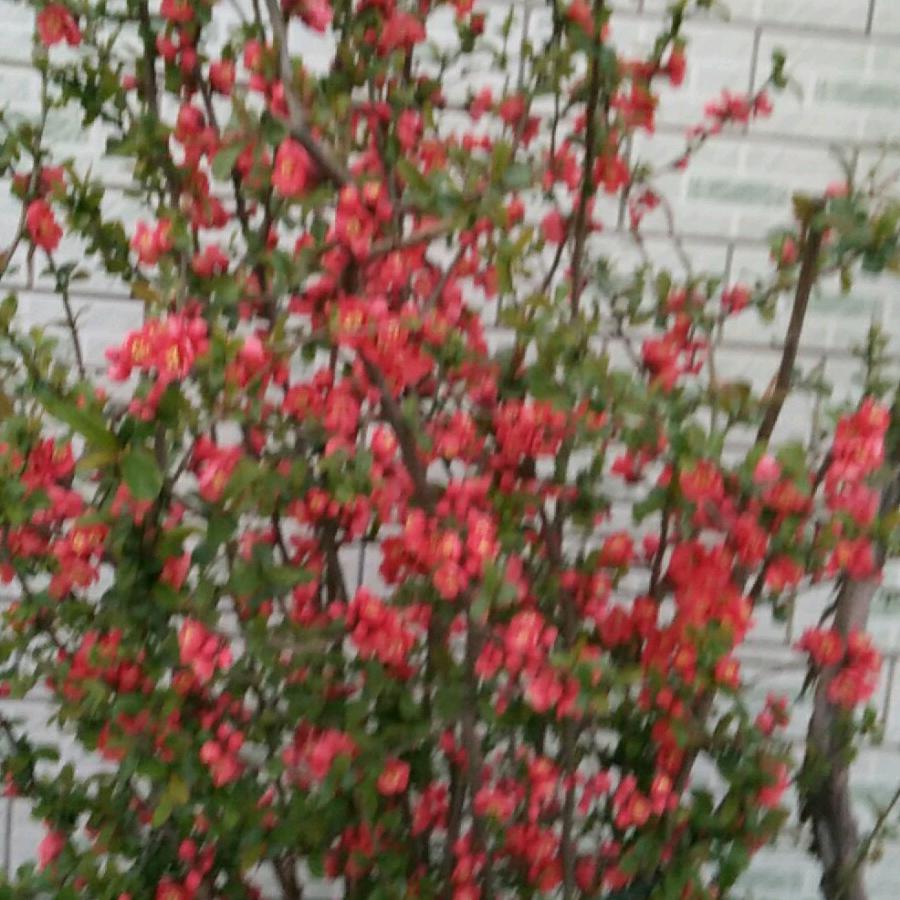 靠谁不如靠自己