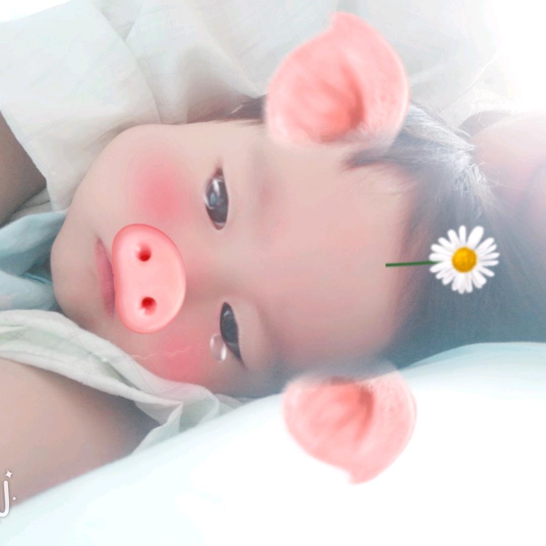 何以