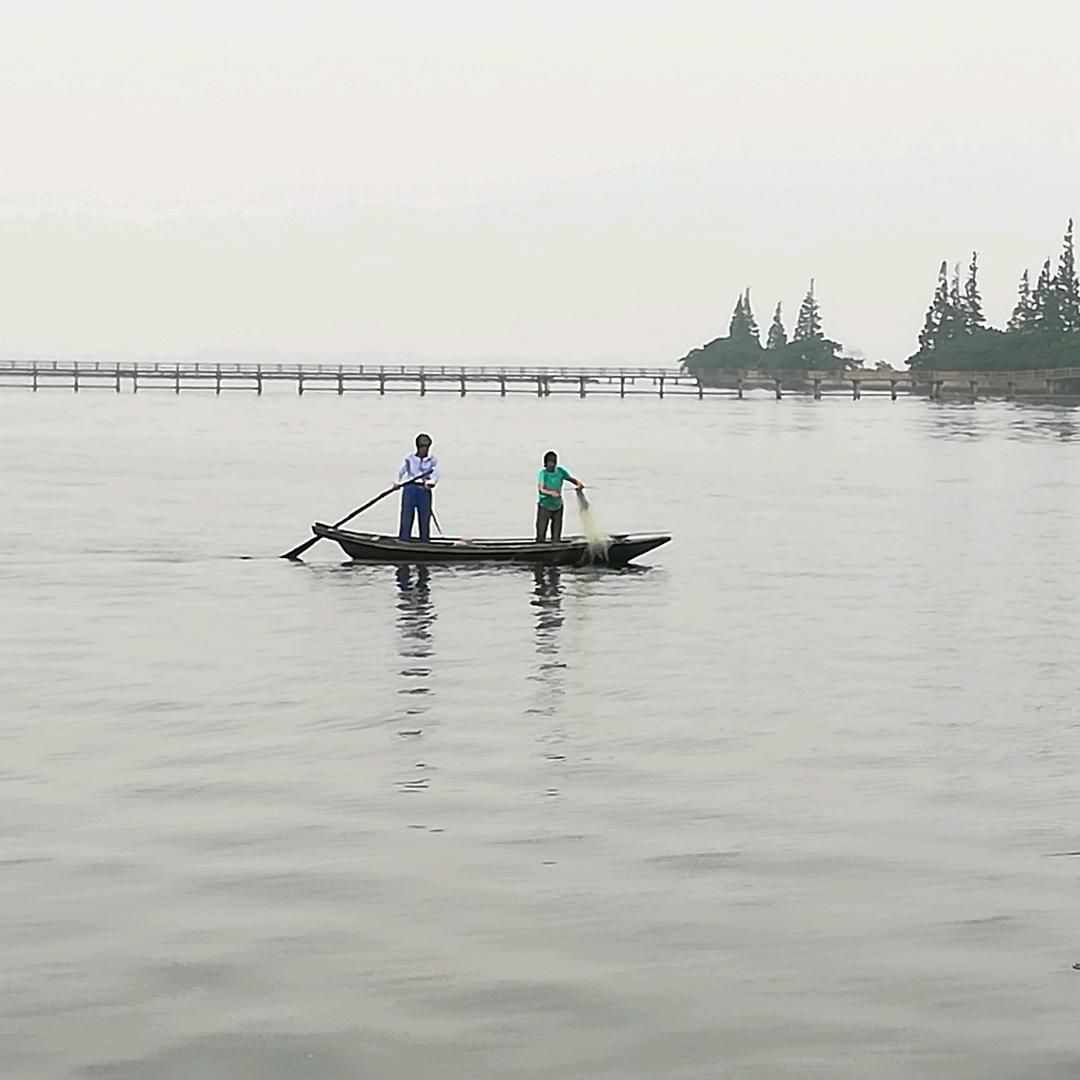 丝丝牵挂