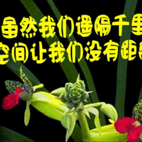 刘晓全