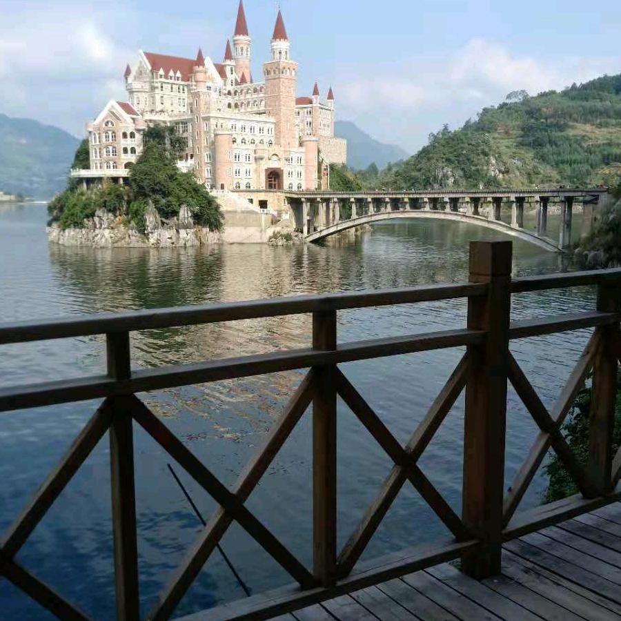 🌴初夏🍀樱花🌺