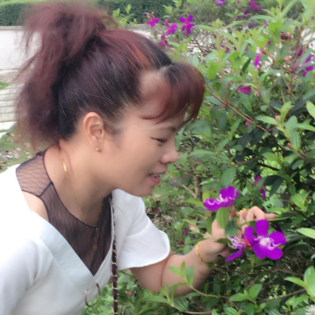 林静物流货运