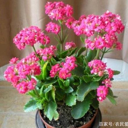 平安是福