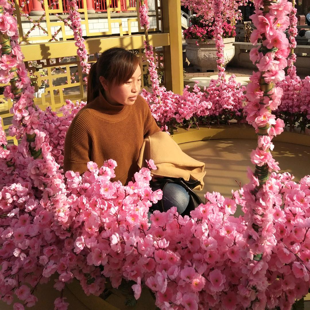 用户九妹