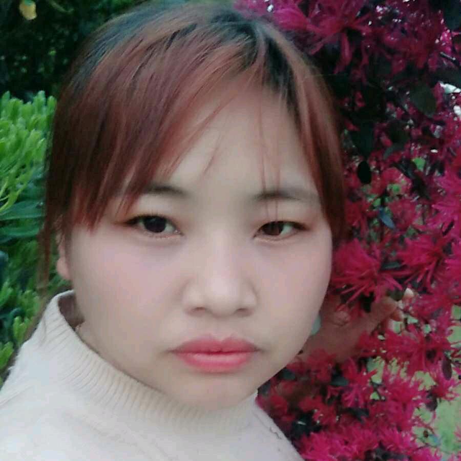 仲彩双雨凤张张好运来
