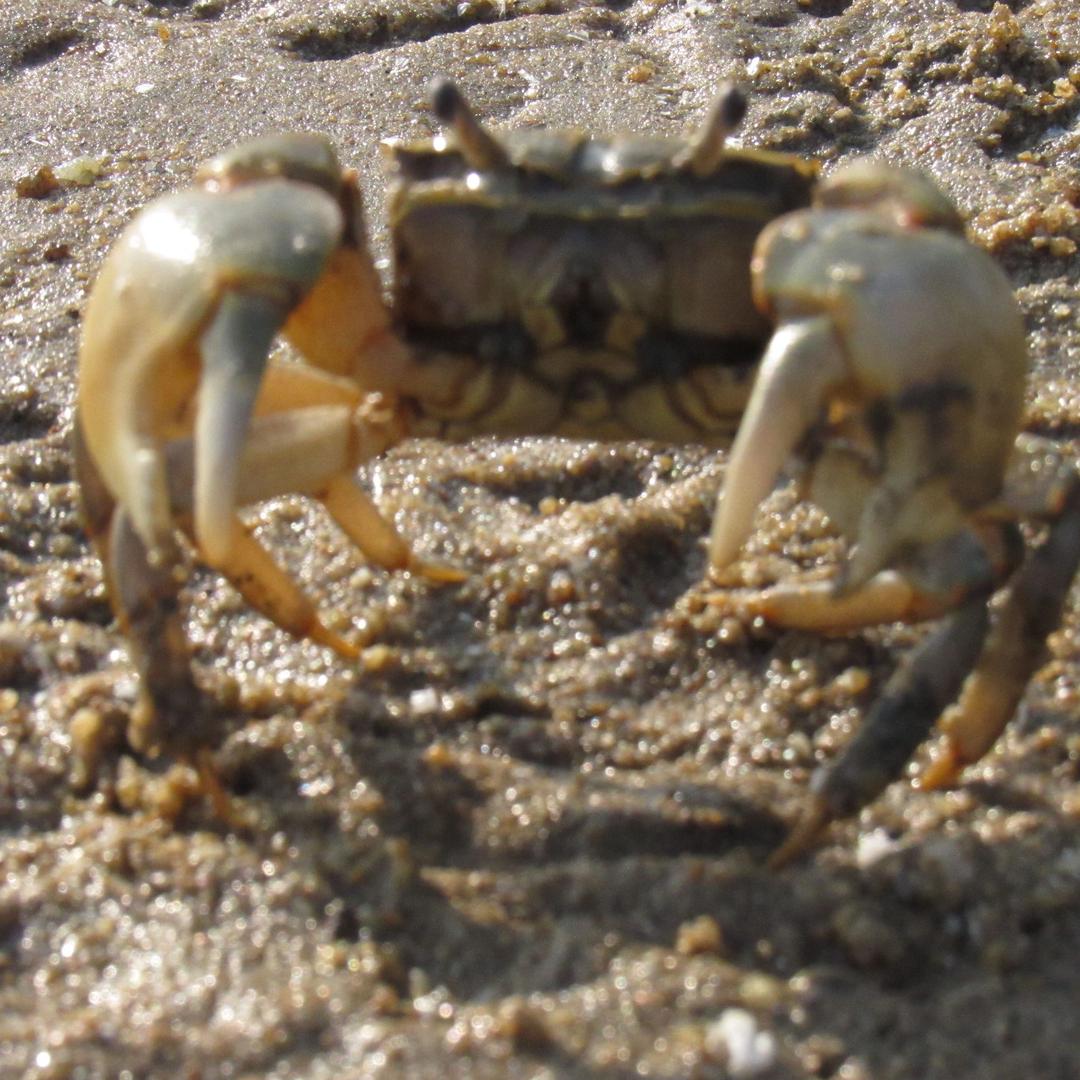 启记广西合浦佳味源蛋制品专卖店