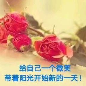 新的启航