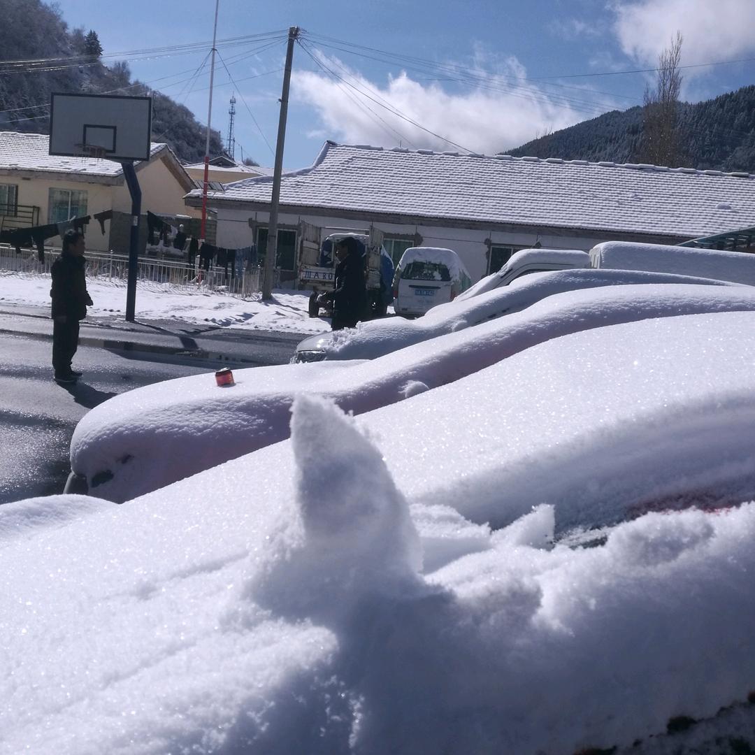冷雪铁手