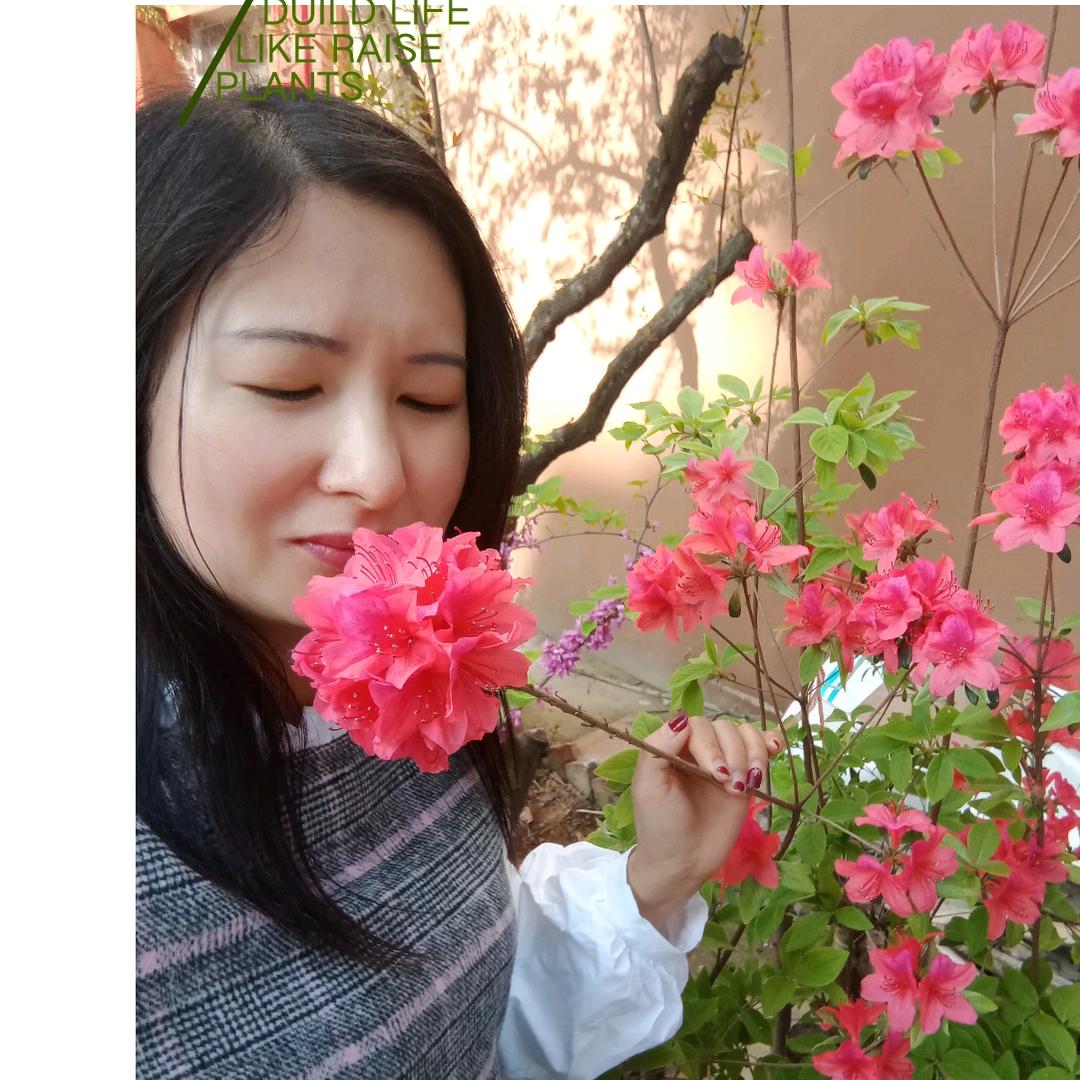 🍀清清吖✨💕