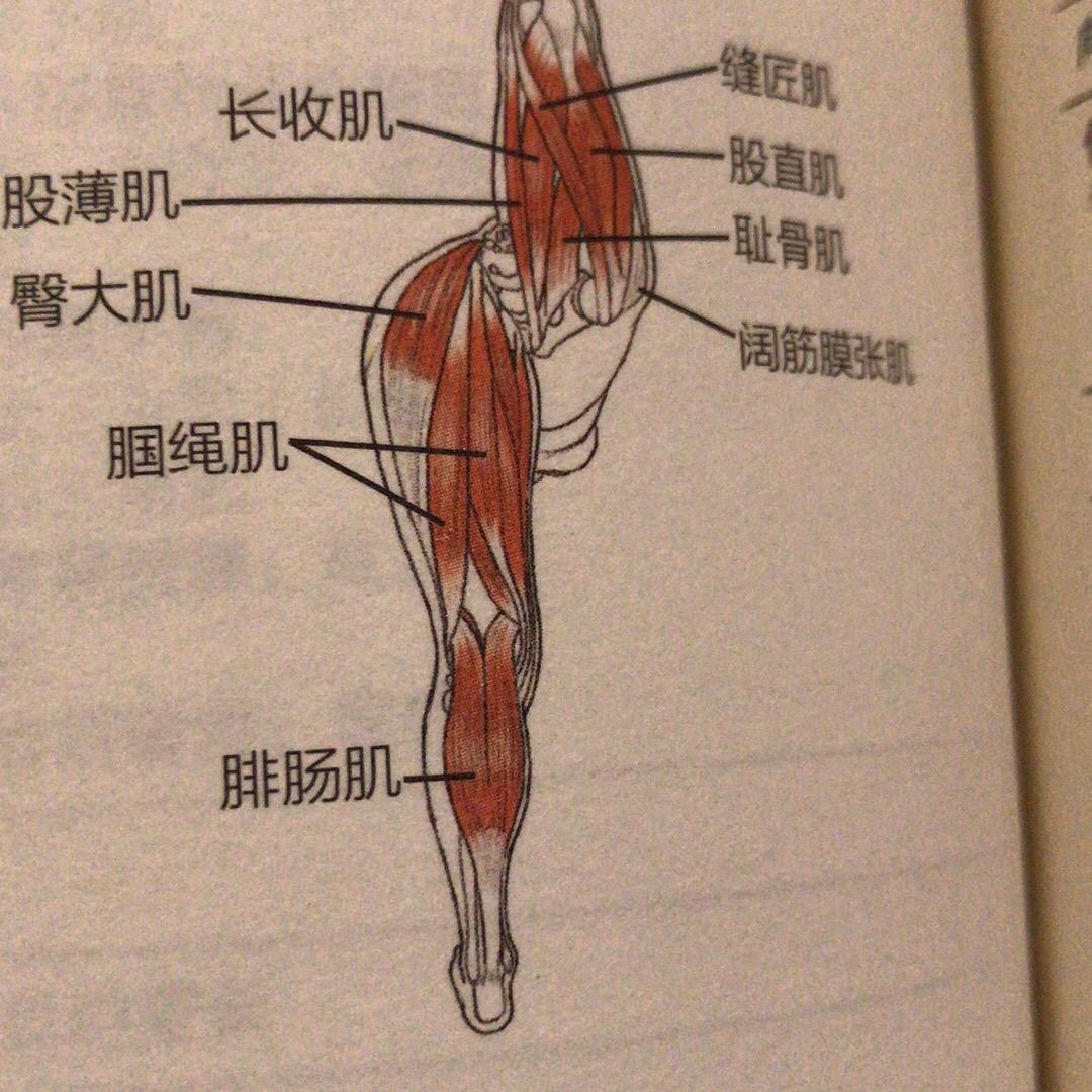 欢欢侠