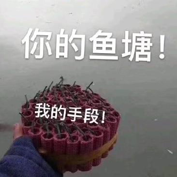 美丽人生