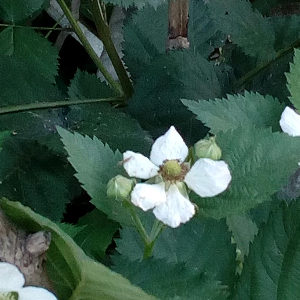 ☁️于你一起🕊️