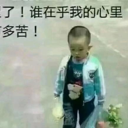 风花💐雨雪☔