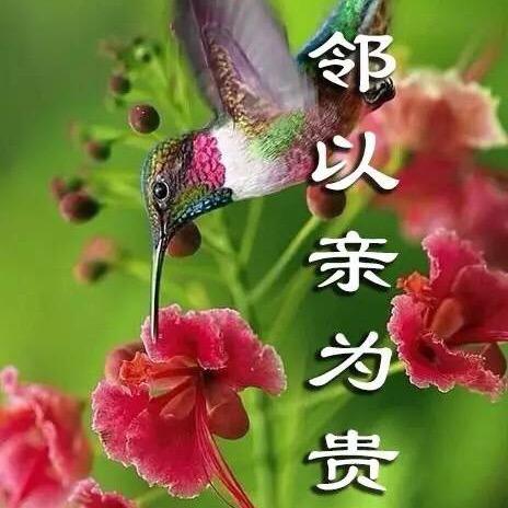 独饮～孟婆汤