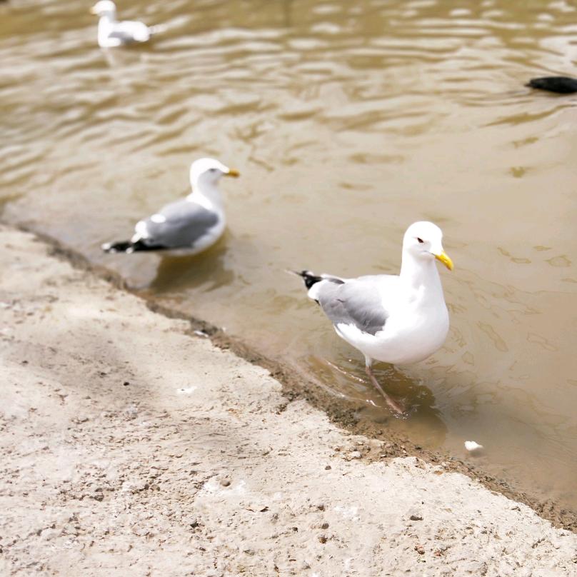 冯运霞(公益红娘)