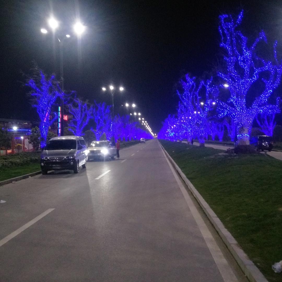 天道(到)酬(愁)勤….”…定成