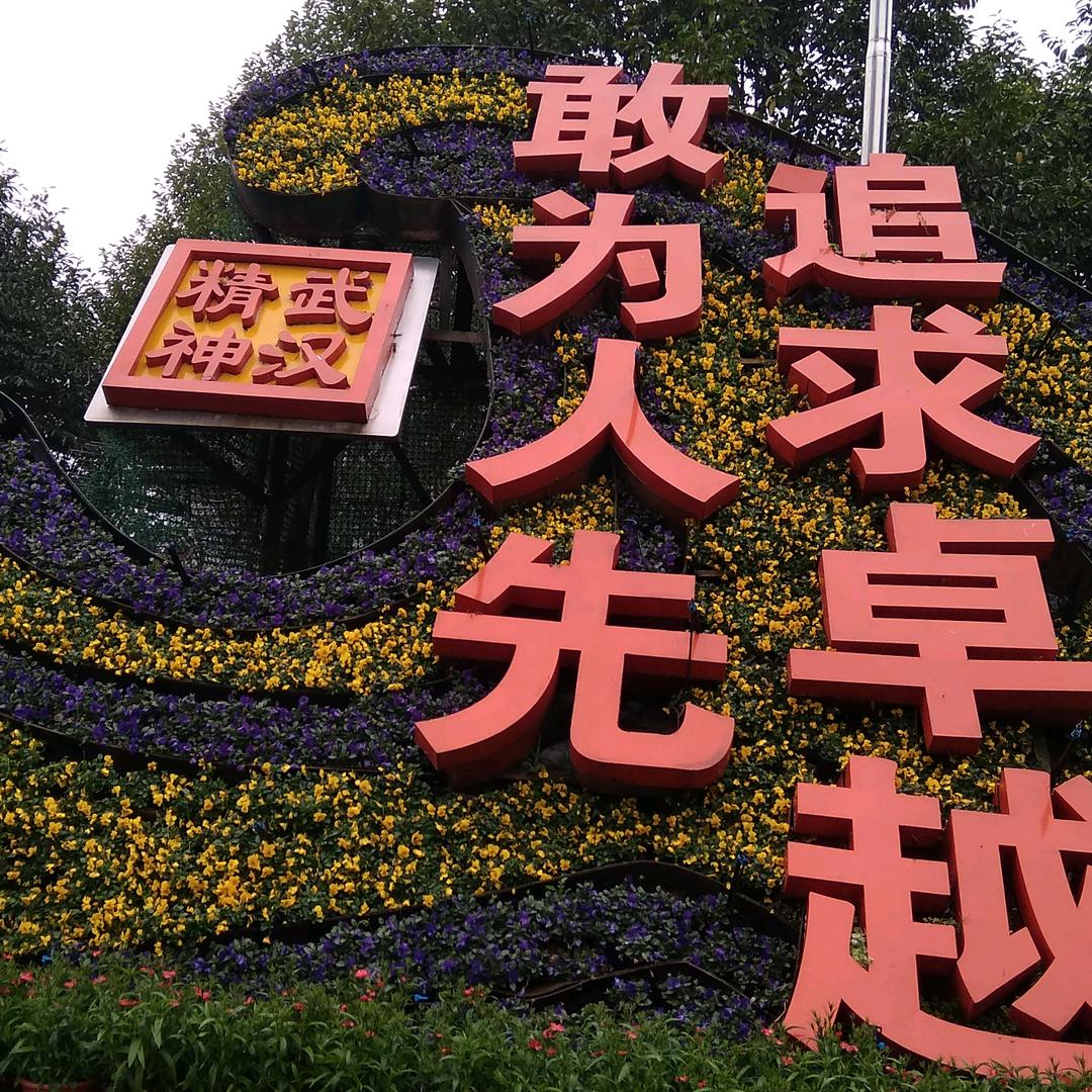 军子之矫