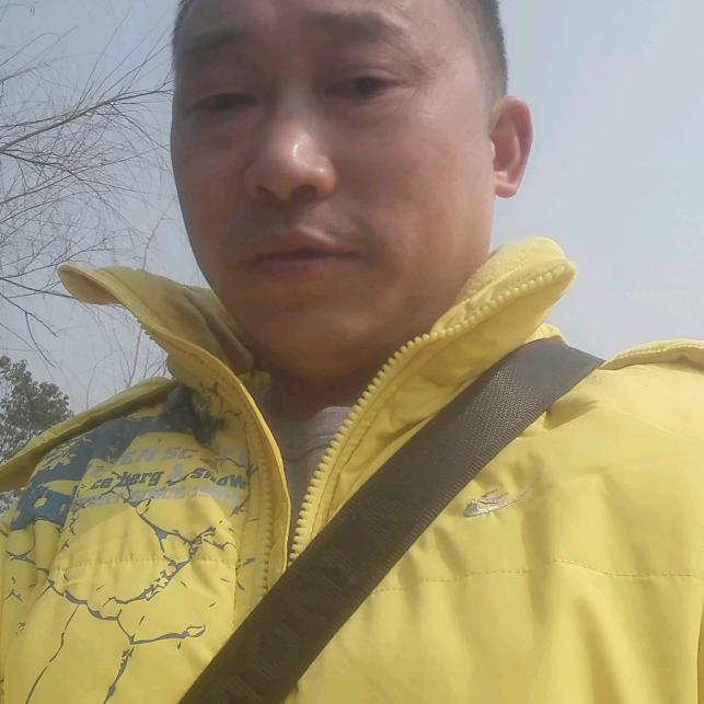 亲为谁奋战登