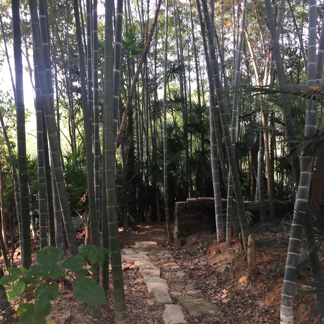 岁月无声@：