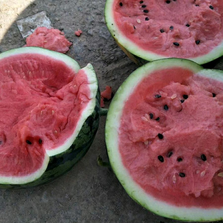 昌乐宗昌果业有限公司