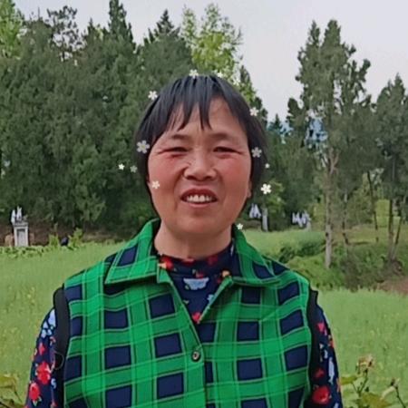 曾庆芬