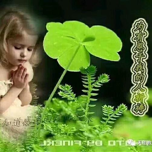 林爱玉