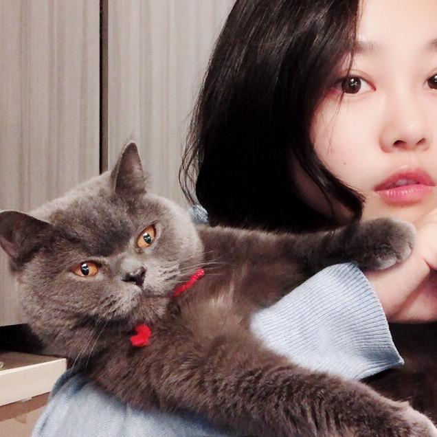 猫三岁