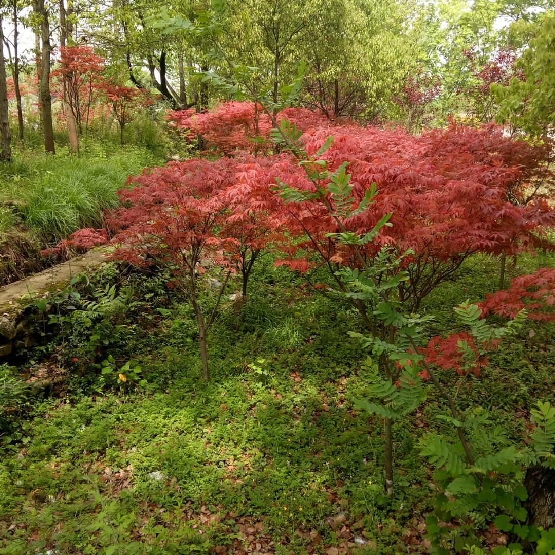 怎么开心怎么活