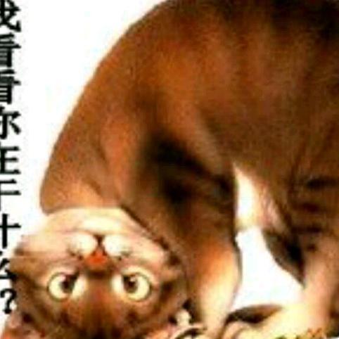 永有欲望