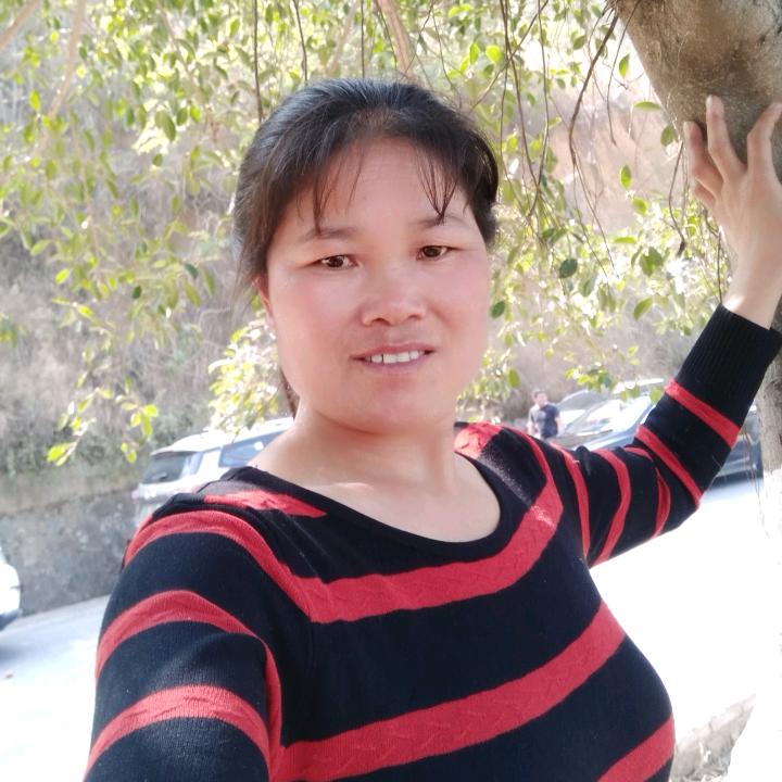 贞丰龚伍姐八音和孝哥 团队，