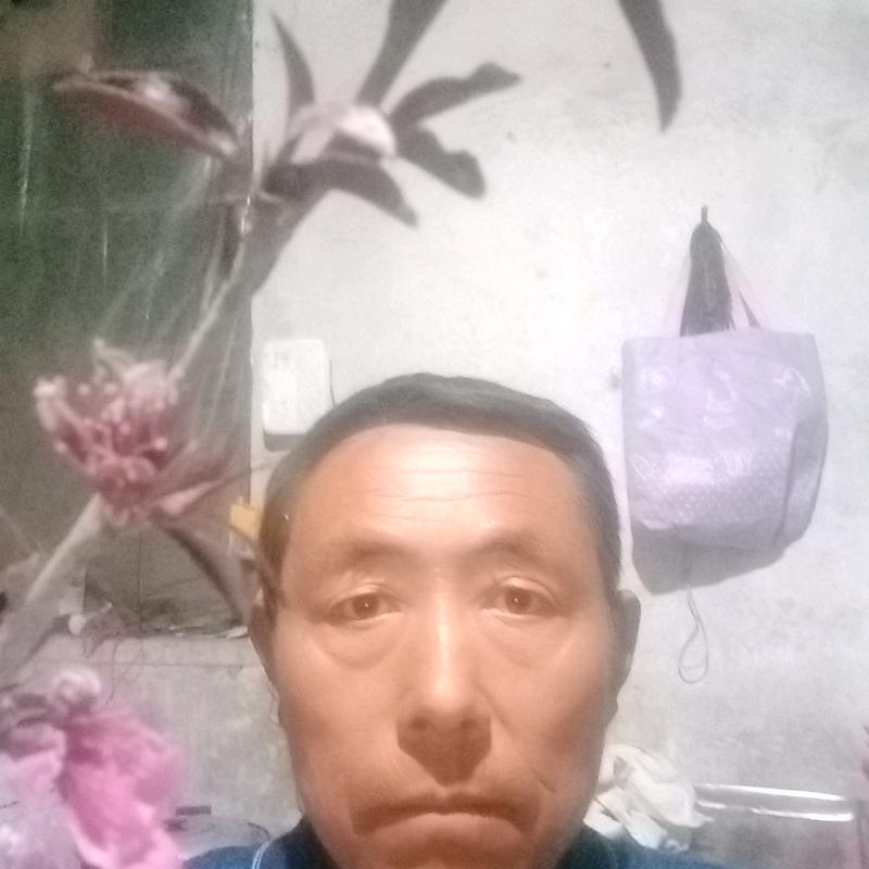 威县七级