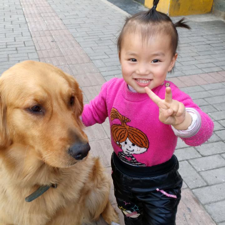 报废汽车厂