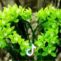 小时代饰家