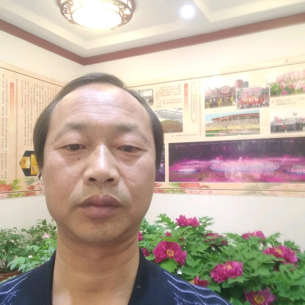 处处有桥
