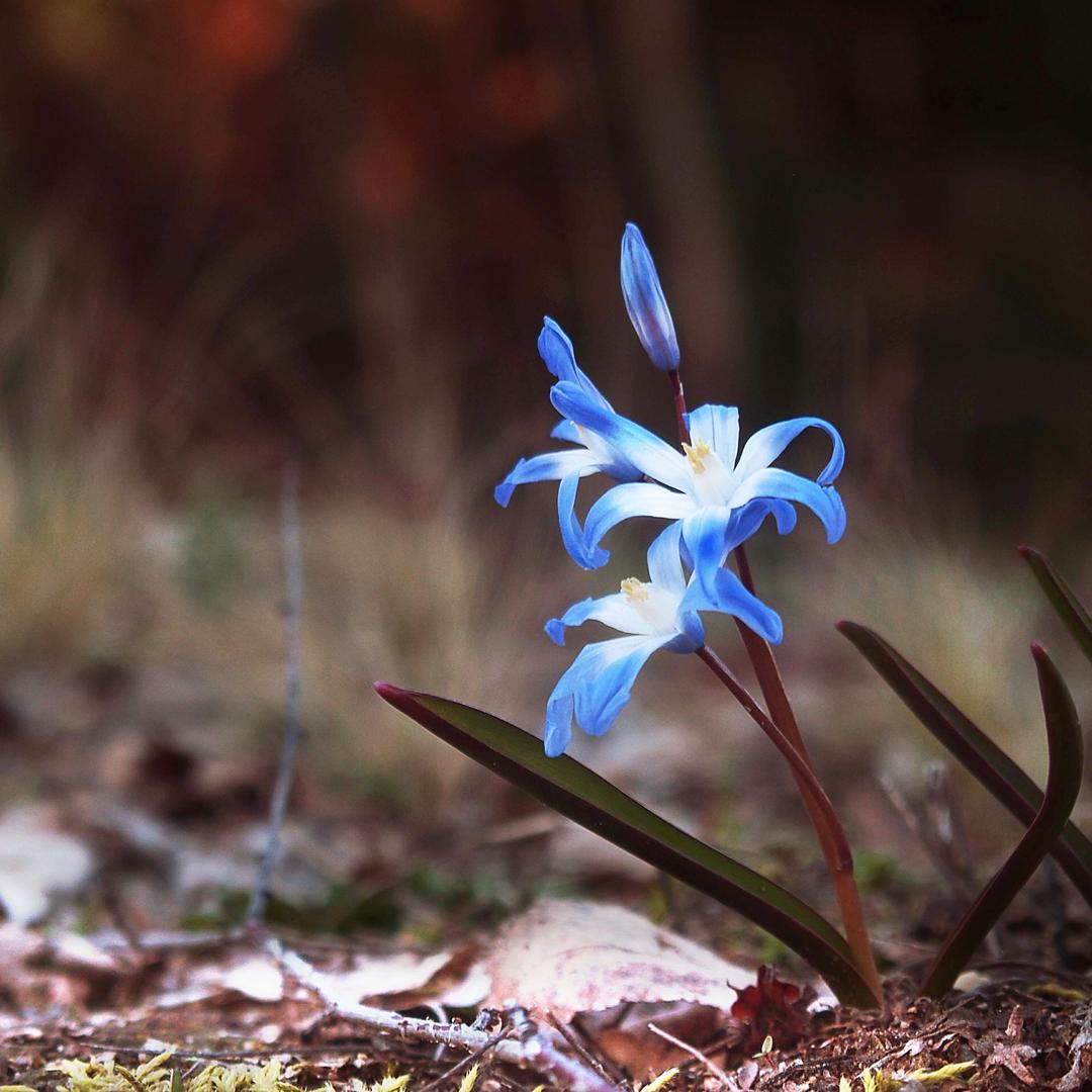 🍊和煦春峰🍀🎣