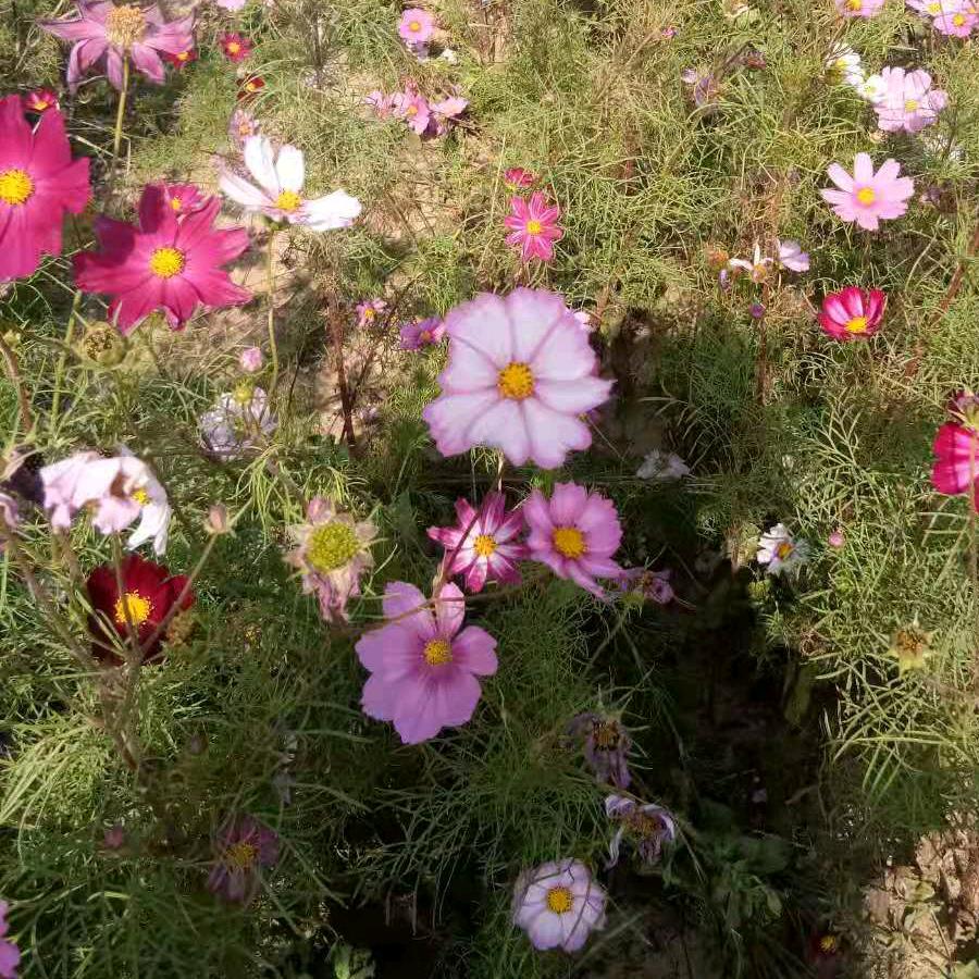 余生很贵 且行且珍惜