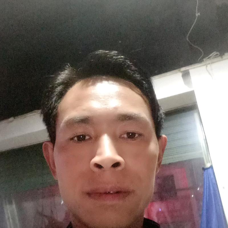 喻飞