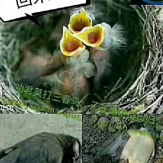 刘同强