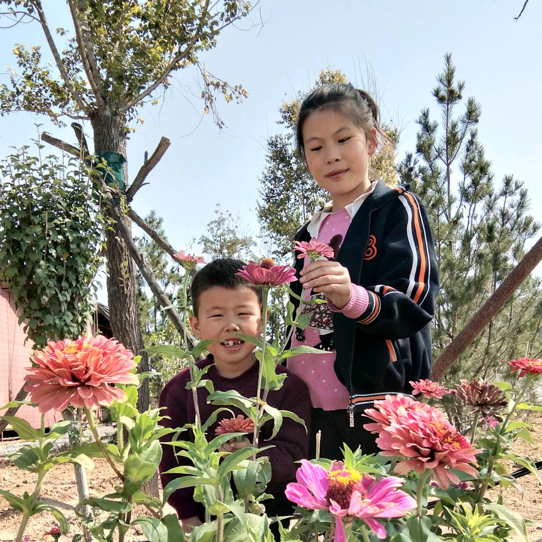 盘古是我爹