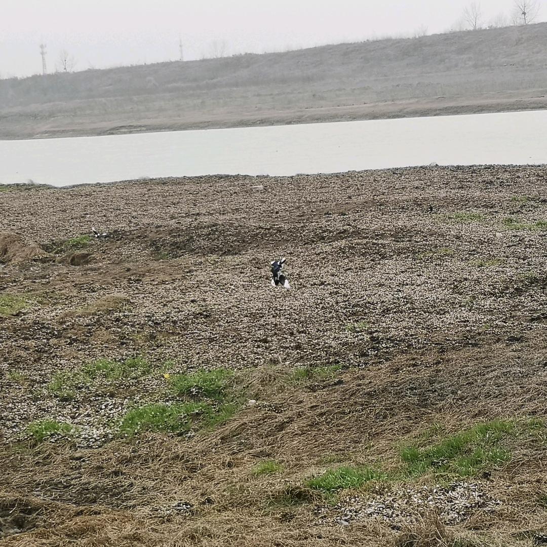 笑看人生