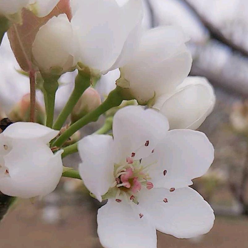 苍山溪水