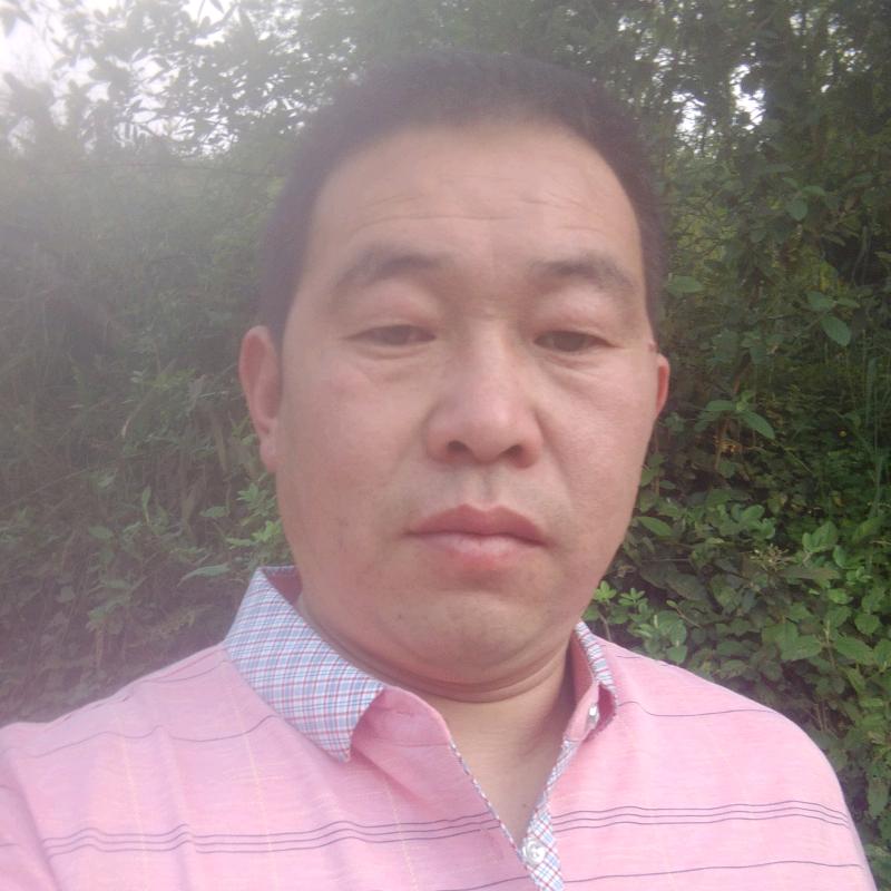 丹凤地摊哥