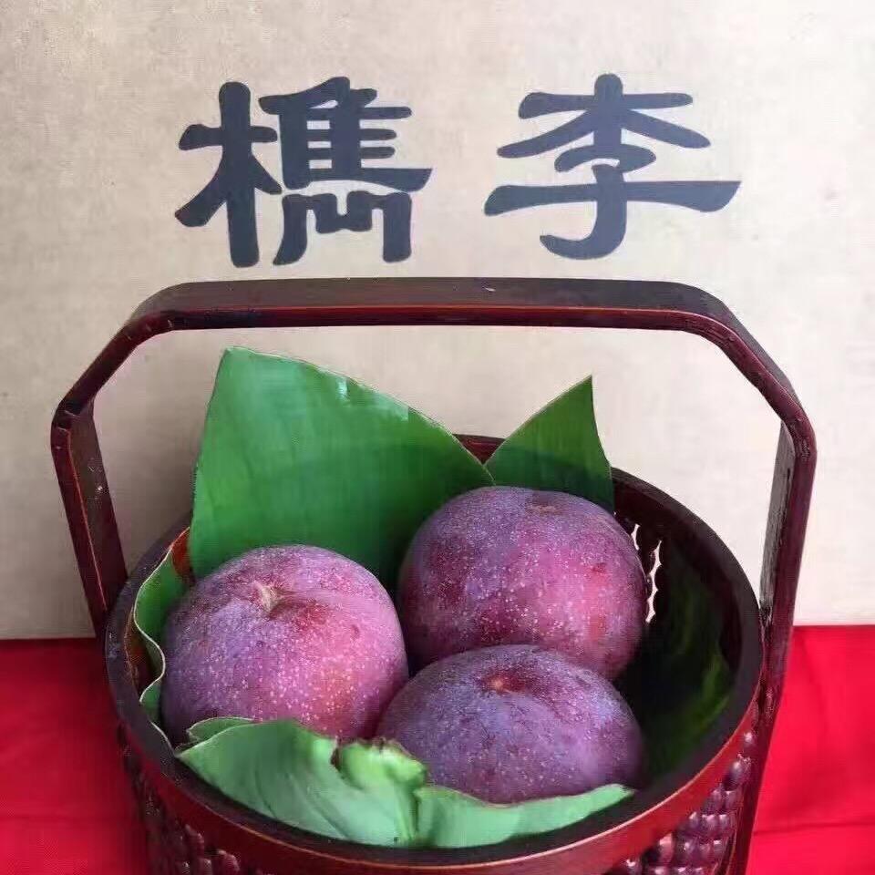 这里是浙江嘉兴市檇李园，园主陆其华欢迎您
