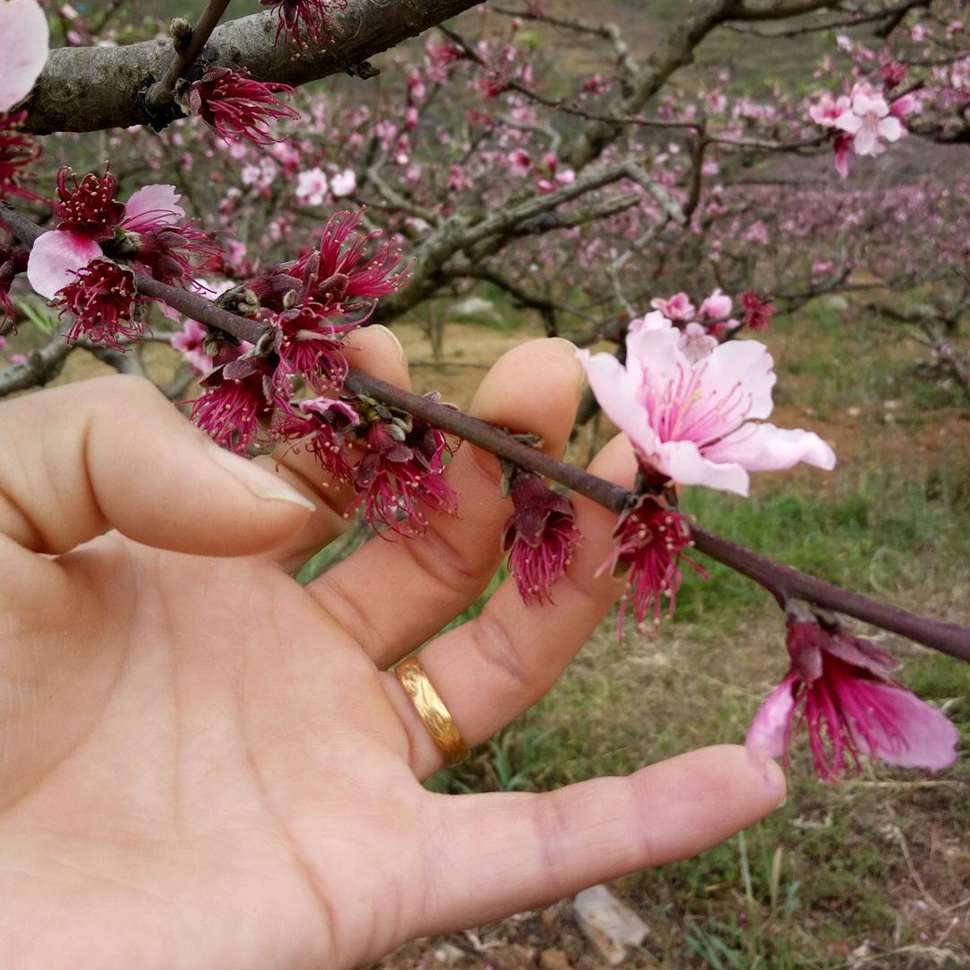 思念无期
