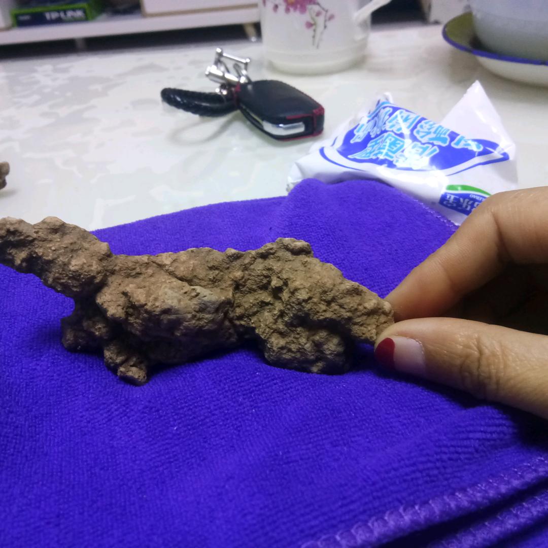 全球鹰（鞠）