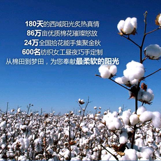 精品新疆棉花被生产厂家