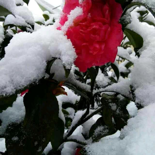 珍惜